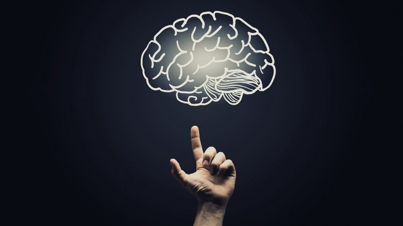 psychological study